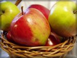 Free Apples Jigsaw Puzzles